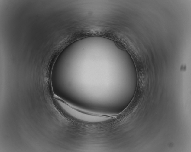 X0000093750593200711061050