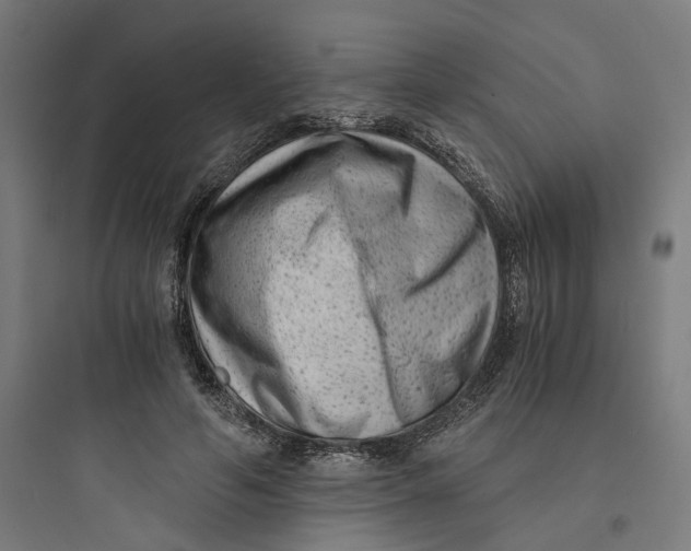 X0000093750594200711061050