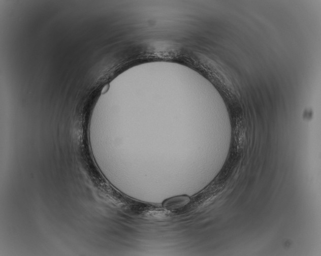 X0000093750595200711061050