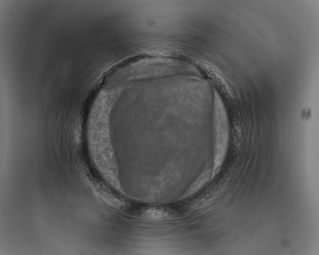 X0000093750596200711061050
