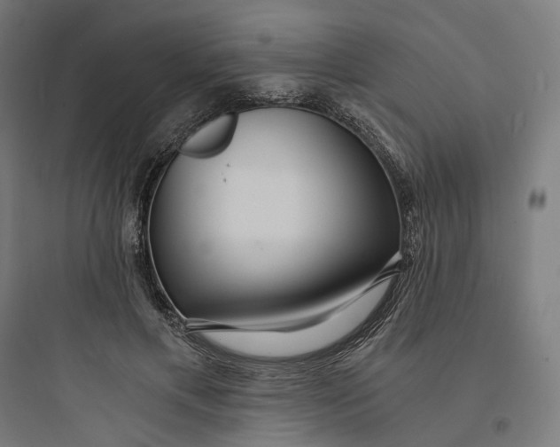 X0000093750597200711061050
