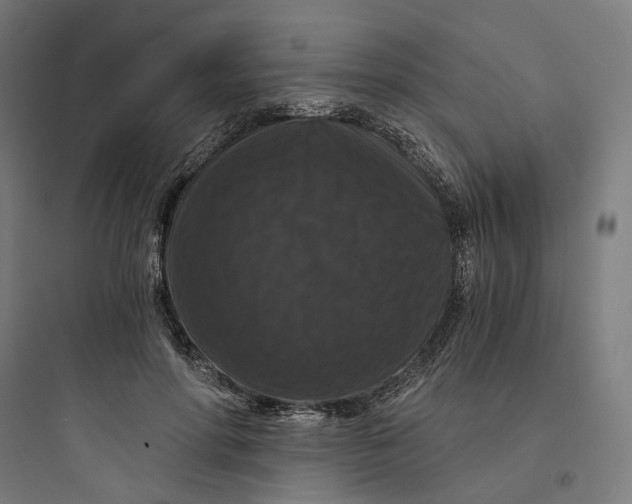 X0000093750598200711061050