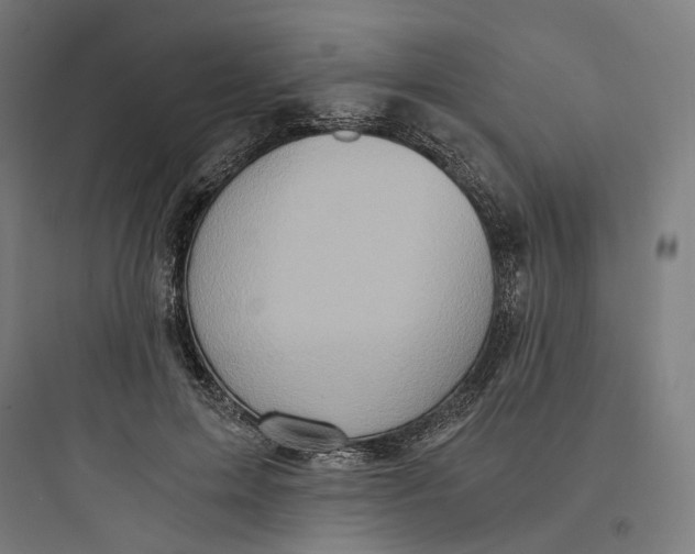 X0000093750599200711061050