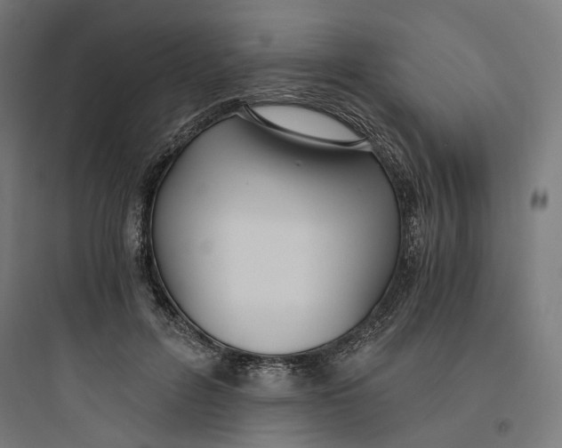 X0000093750600200711061050