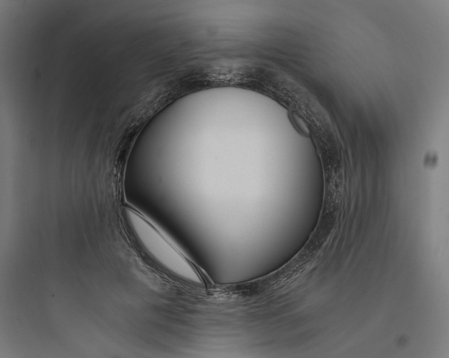 X0000093750601200711061050