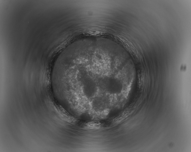 X0000093750606200711061050