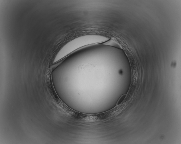 X0000093750609200711061049