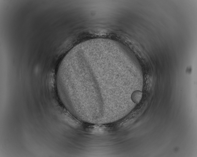 X0000093750612200711061049