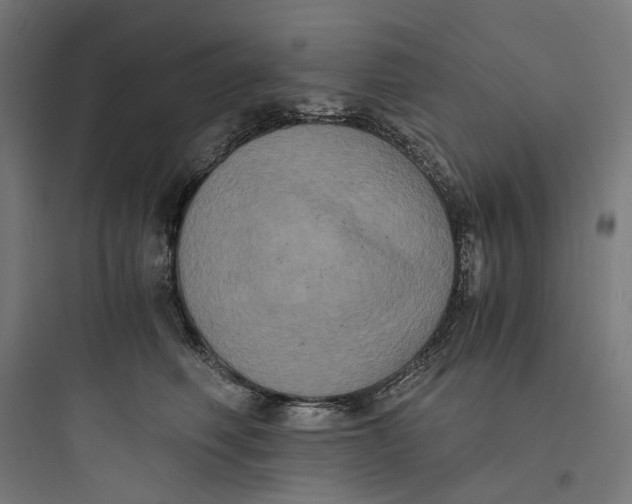 X0000093750614200711061049