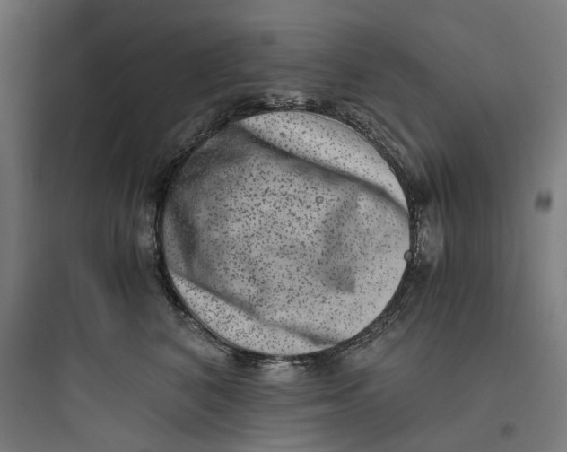 X0000093750616200711061049