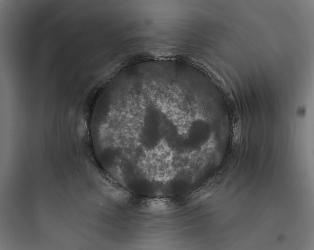 X0000093750618200711061049
