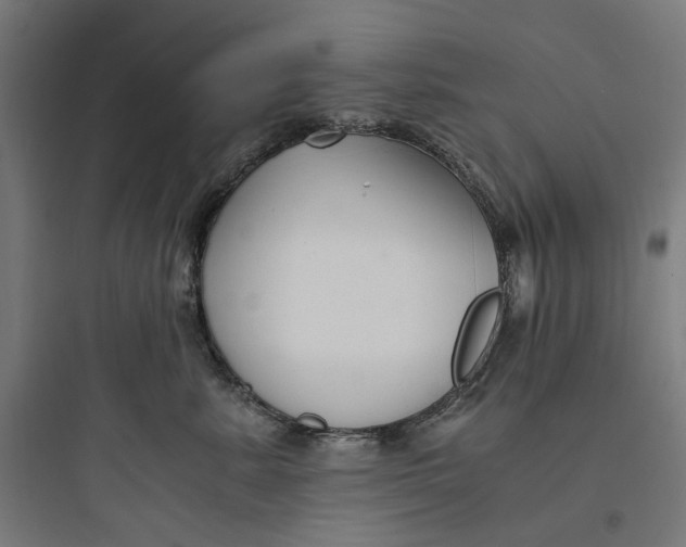 X0000093750619200711061049
