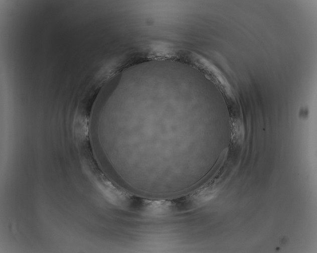 X0000093750621200711061049