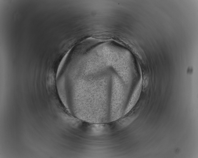 X0000093750623200711061049