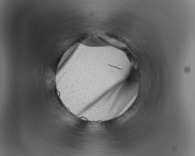 X0000093750624200711061049