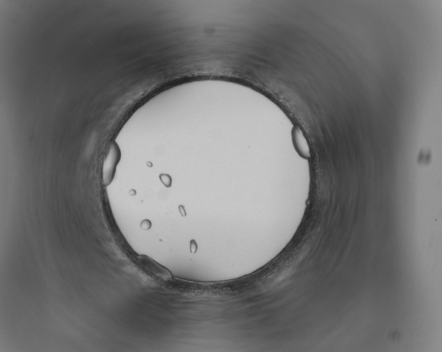 X0000093750625200711061049