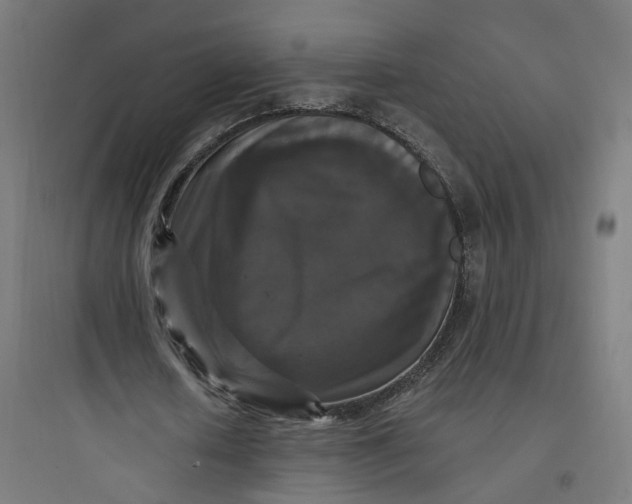 X0000093750626200711061049