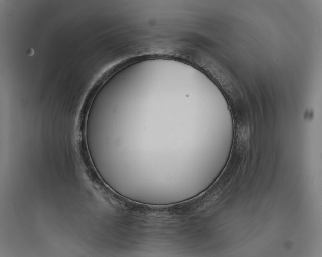 X0000093750628200711061049