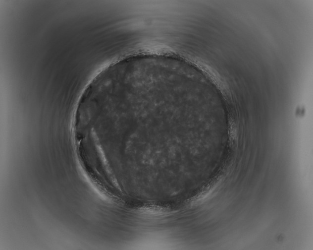 X0000093750630200711061049