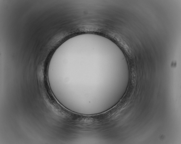 X0000093750631200711061049