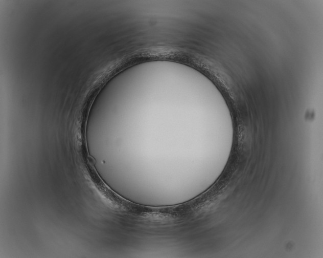 X0000093750633200711061049