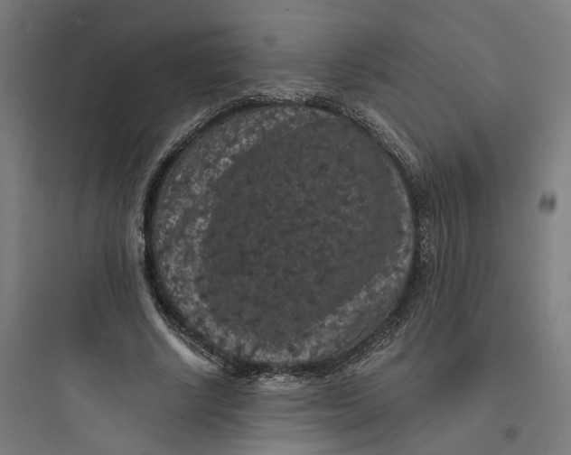 X0000093750634200711061049
