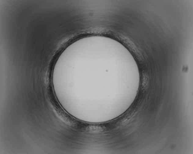X0000093750636200711061049