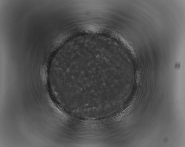 X0000093750637200711061049