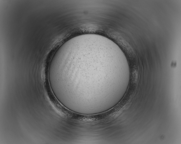 X0000093750638200711061049