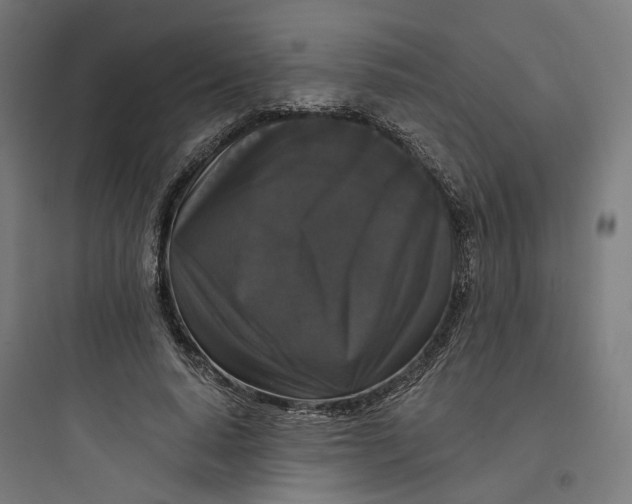 X0000093750640200711061049