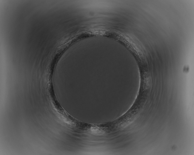X0000093750641200711061049