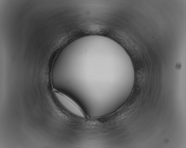 X0000093750642200711061049