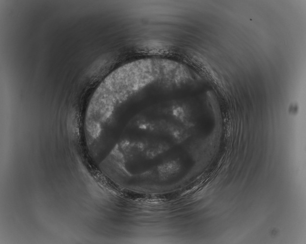 X0000093750643200711061049
