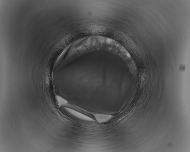 X0000093750644200711061049