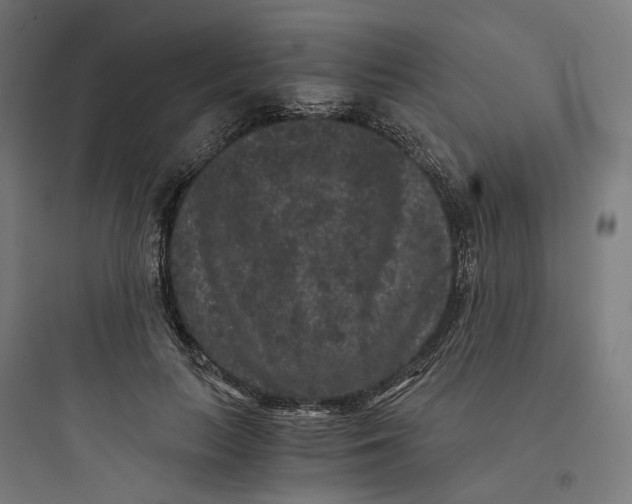 X0000093750647200711061049