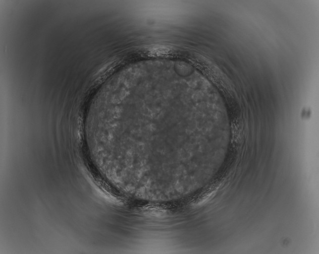 X0000093750648200711061049