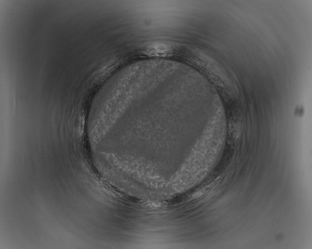 X0000093750652200711061049