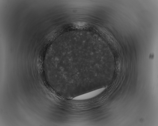X0000093750653200711061049