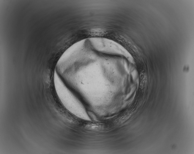 X0000093750655200711061049