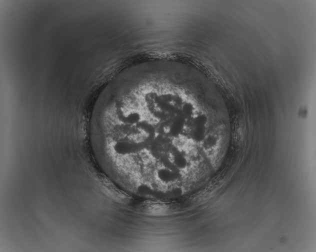 X0000093750658200711061049