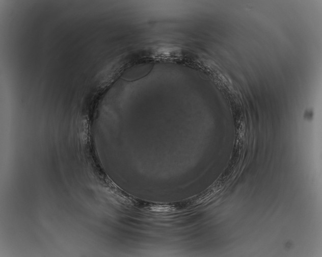 X0000093750659200711061049