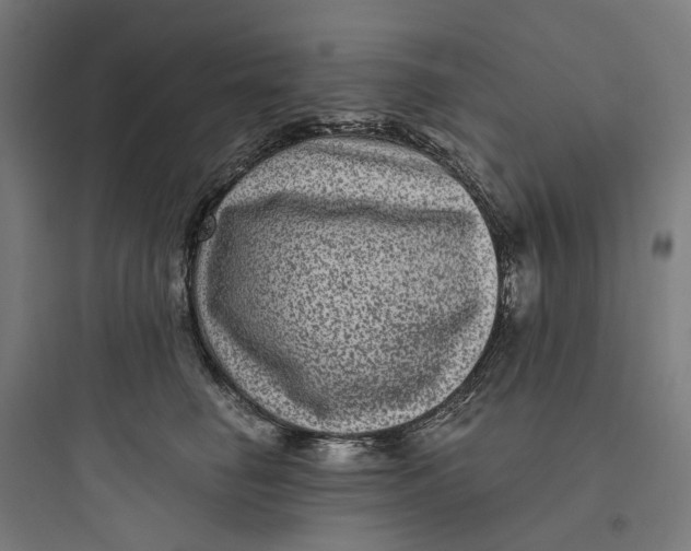 X0000093750662200711061049