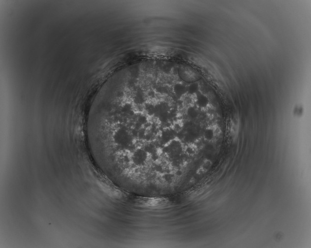 X0000093750663200711061049