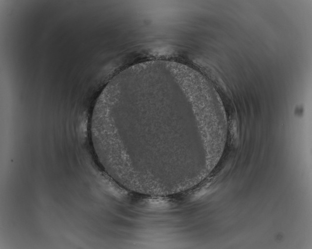 X0000093750668200711061049
