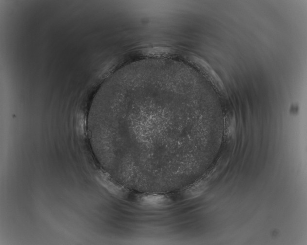 X0000093750669200711061049