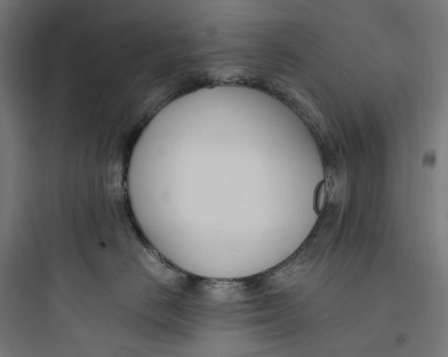 X0000093750670200711061049