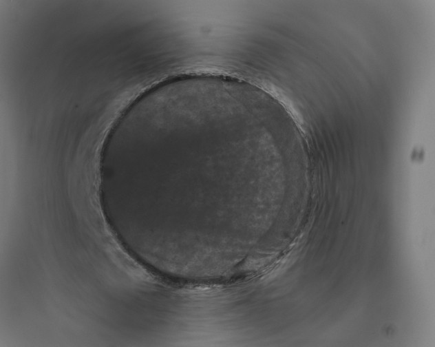 X0000093750673200711061049