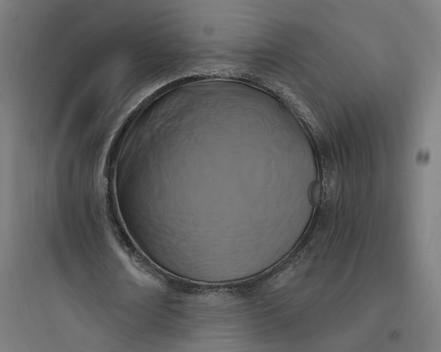 X0000093750674200711061049