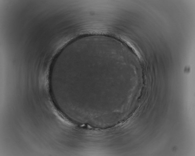 X0000093750677200711061049