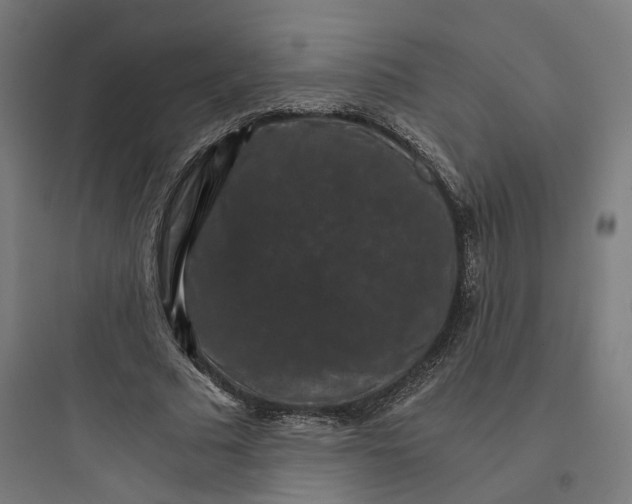 X0000093750681200711061048